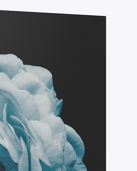 Book w  Matte Cover Mockup   Half Side View PSD #1