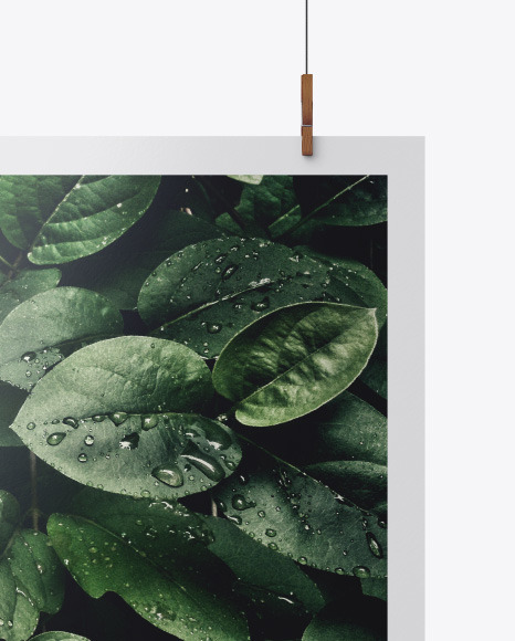 Glossy A2 Poster Mockup PSD #6