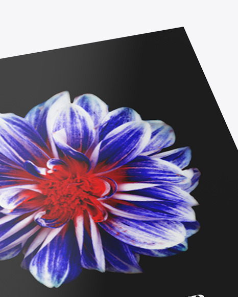 Book w  Glossy Cover Mockup   Half Side View PSD #1