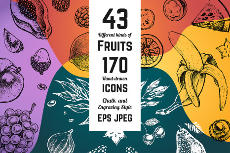 Fruits - hand drawn vector set