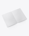 Matte Brochure Mockup