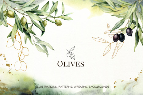 Olives. Watercolor collection