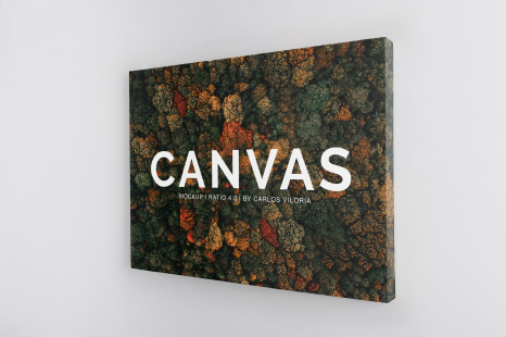 Download Free Canvas Bag Mockup In Free On Yellow Images Creative Store