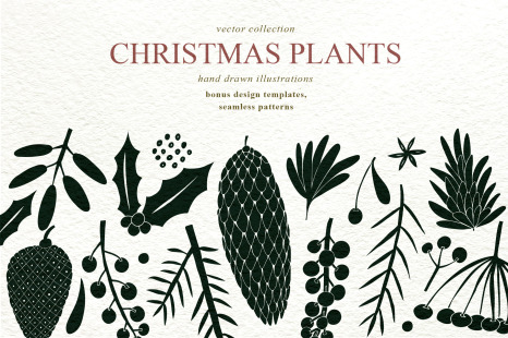 Christmas Plants Vector Collection