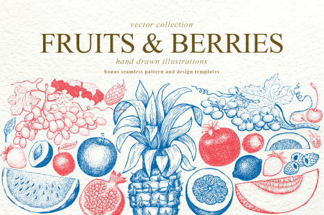 Fruits&amp;Berries Vector Collection