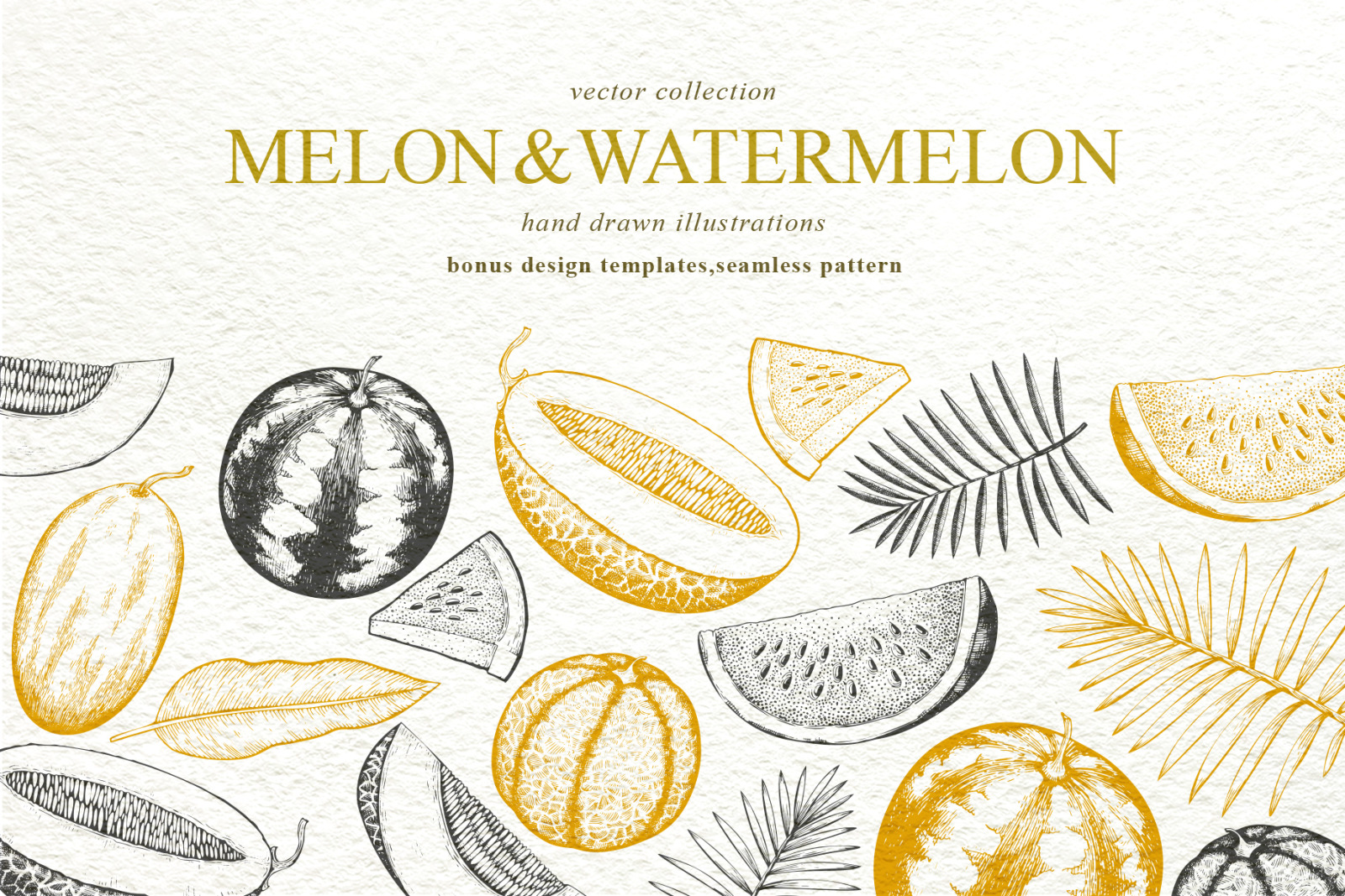 Melon Watermelon Vector Collection In Illustrations On Yellow Images Creative Store