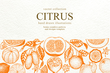 Download Citrus Vector Collection In Illustrations On Yellow Images Creative Store PSD Mockup Templates