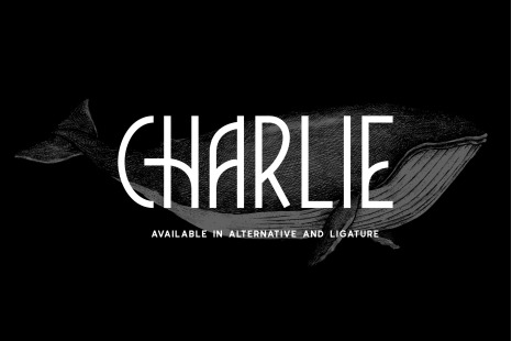 Charlie Font