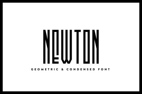 Newton - Font Family