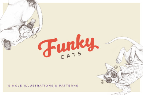 Funky Cat - Illustrations & Patterns