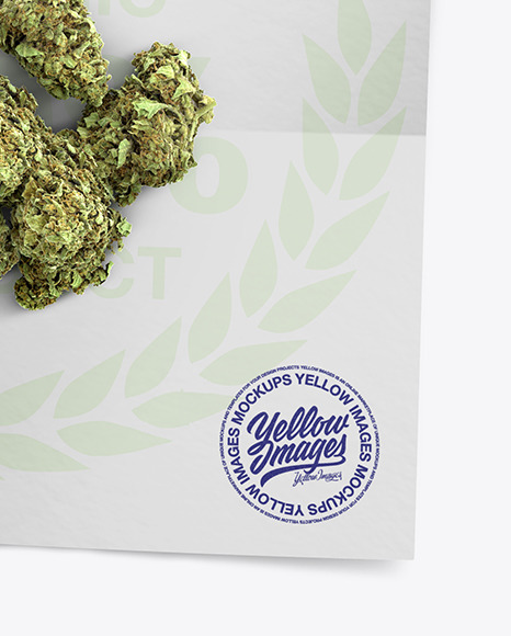 Download Paper Envelope With Marijuana Mockup In Tray Platter Mockups On Yellow Images Object Mockups Yellowimages Mockups