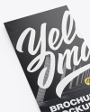 Glossy Flyer Mockup