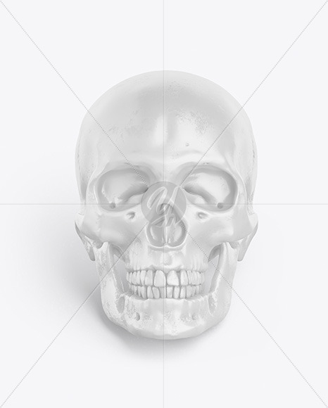 Skull Mockup In Object Mockups On Yellow Images Object Mockups