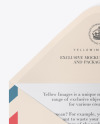 Envelope w/ Postcard Mockup
