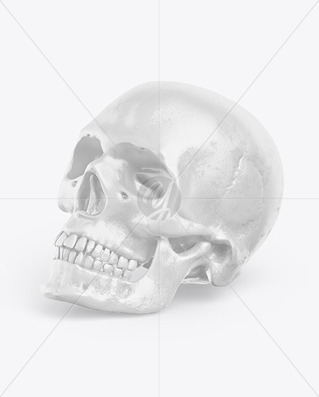 Skull Mockup In Object Mockups On Yellow Images Object Mockups