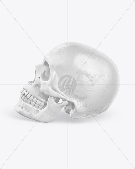 Skull Mockup In Object Mockups On Yellow Images Object Mockups