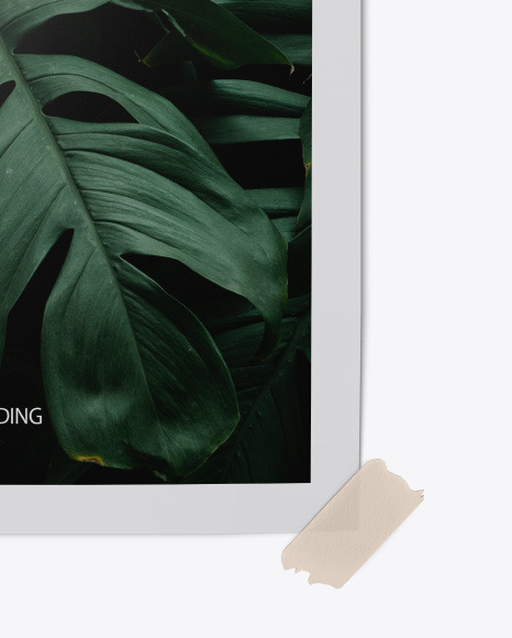 Glossy Poster w  Tape Mockup PSD #5