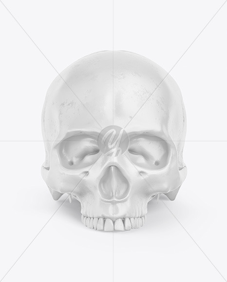 Download Skull Mockup In Object Mockups On Yellow Images Object Mockups PSD Mockup Templates