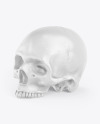 Skull Mockup
