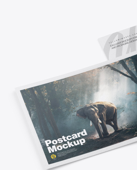 Textured A5 Postcard Mockup PSD #1