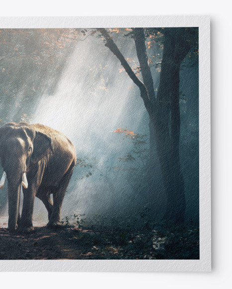 Textured A5 Postcard Mockup PSD #5