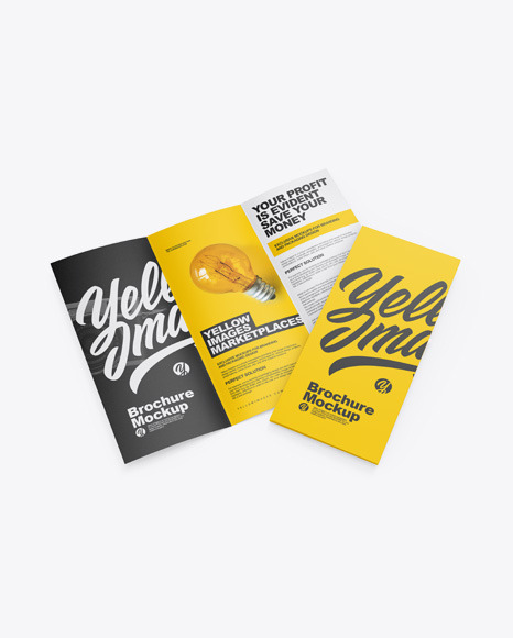 Two Paper Brochures Mockup PSD #2