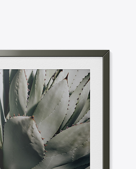 Matte Photo Frame Mockup PSD #2