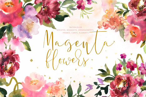 Magenta flowers