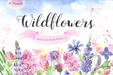 Watercolor Wildflowers Set