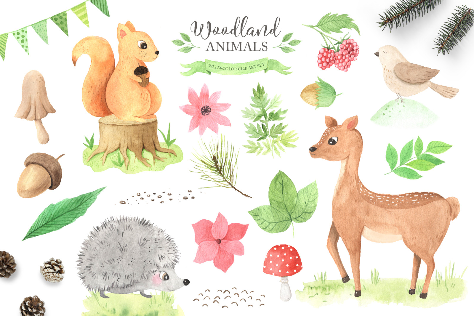 Download Watercolor Woodland Animals Set In Illustrations On Yellow Images Creative Store