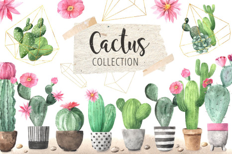 Watercolor Exotic Cactus Collection