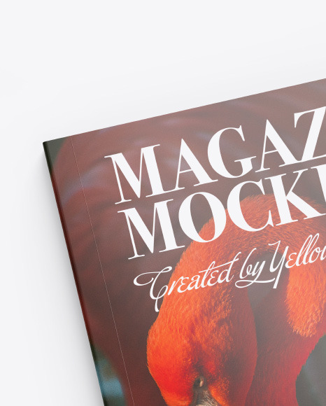 Glossy Magazine Mockup PSD #5