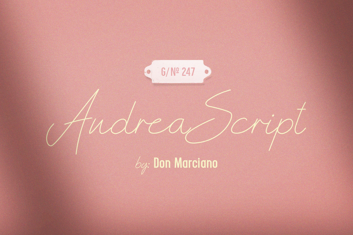 Andrea Script Thin In Fonts On Yellow Images Creative Store