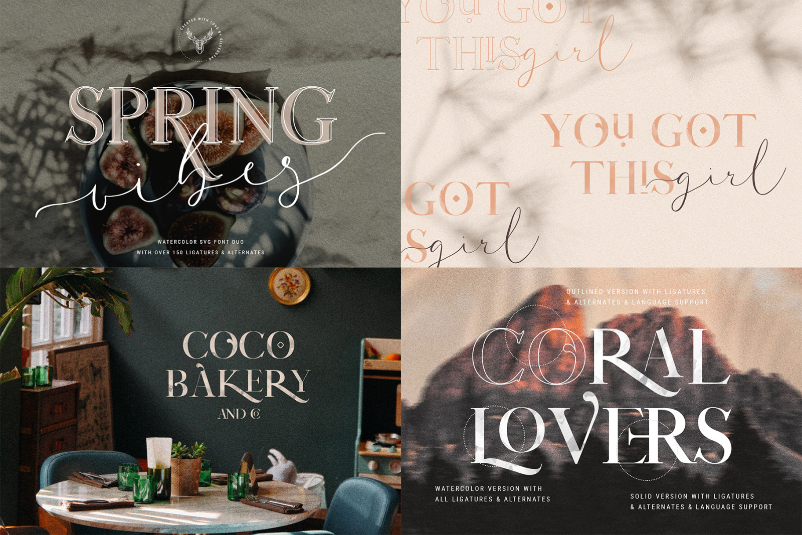 80 Off Font Bundle Limited Time Edition In Fonts On Yellow Images Creative Store