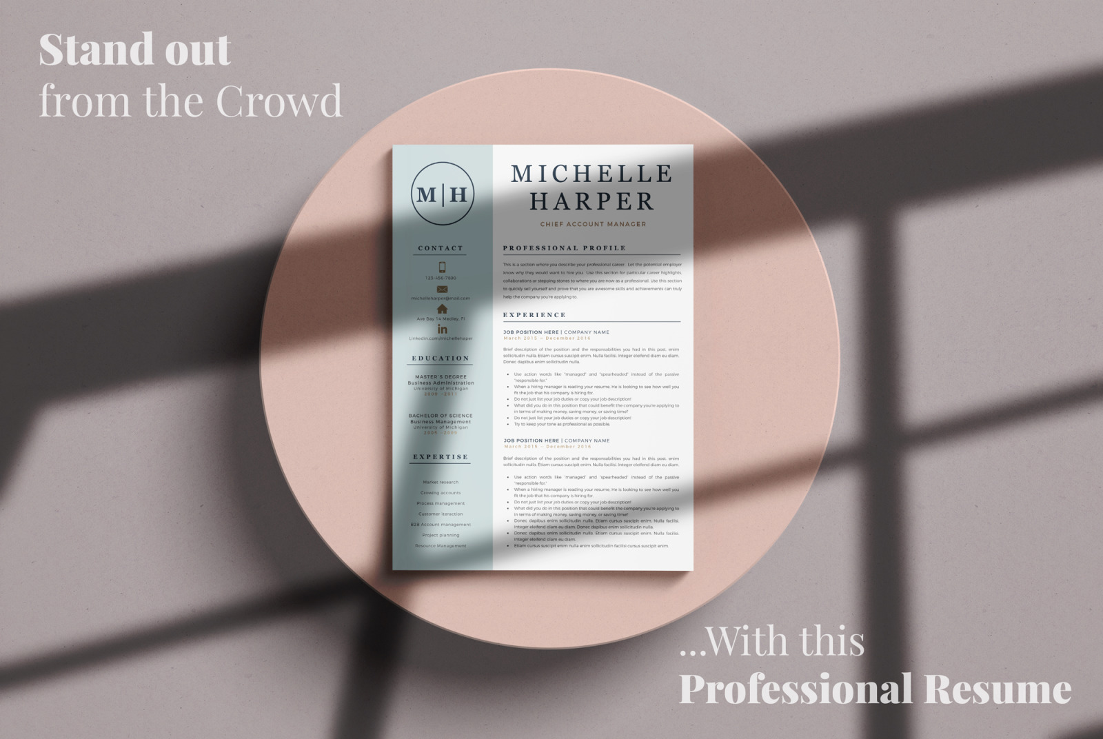 Resume Template 3 Page, CV Template