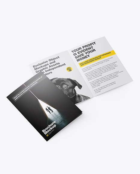 Download Two Brochures Mockup In Stationery Mockups On Yellow Images Object Mockups PSD Mockup Templates