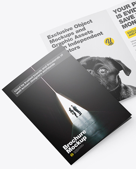 Two Brochures Mockup PSD #3