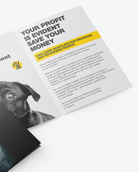 Download Two Brochures Mockup In Stationery Mockups On Yellow Images Object Mockups PSD Mockup Templates