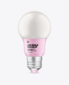 Matte LED Light Bulb Mockup