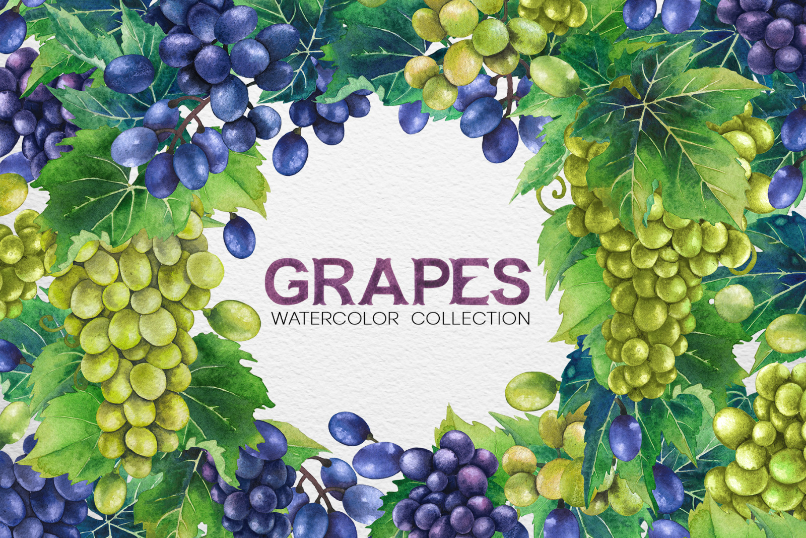 Watercolor Grapes on Yellow Images Creative Store