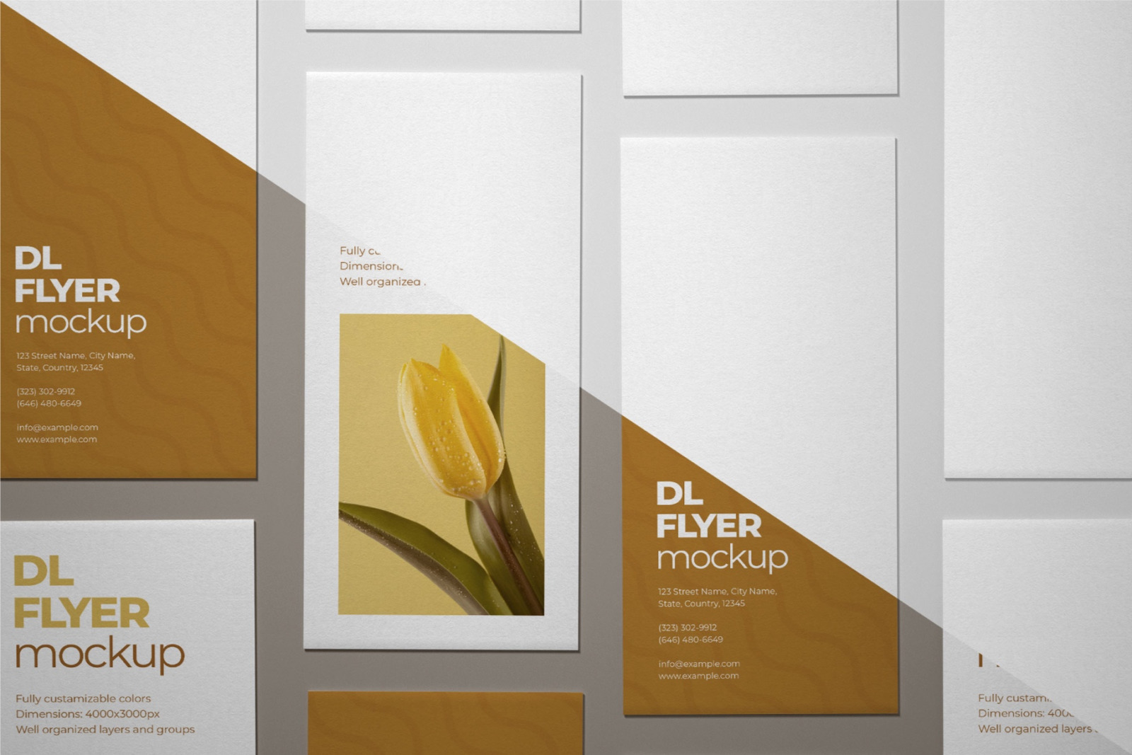 Dl Flyer Mockup Free