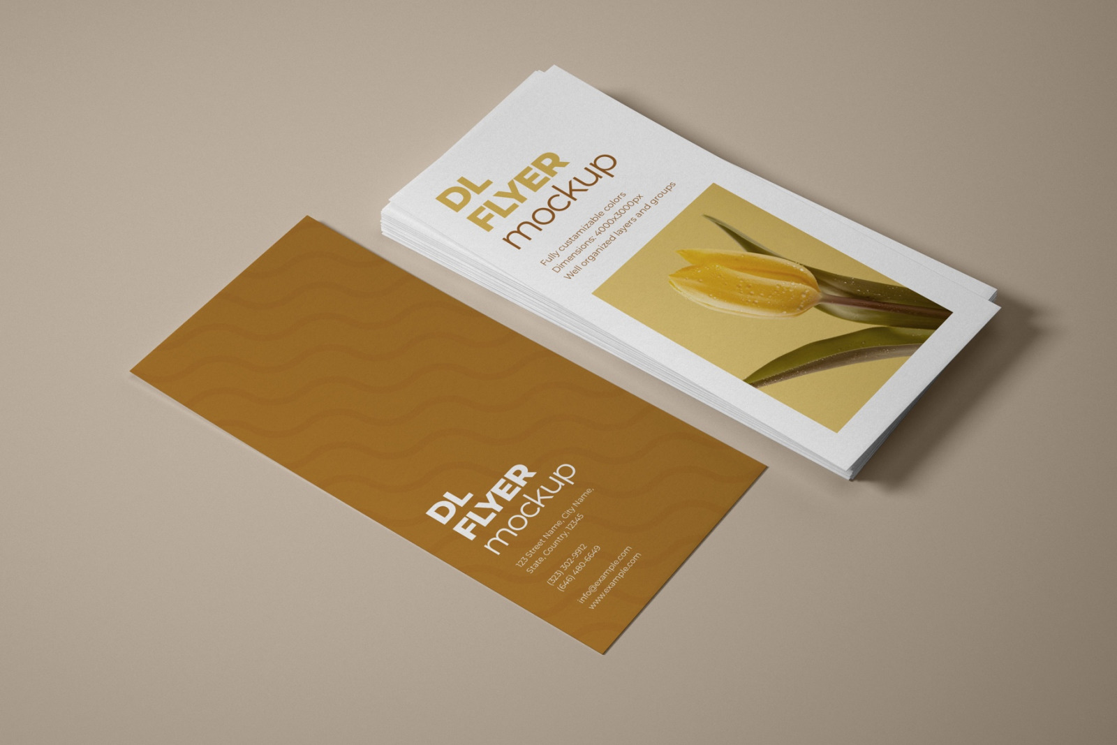 Download Dl Flyer Mockup Set In Stationery Mockups On Yellow Images Creative Store PSD Mockup Templates