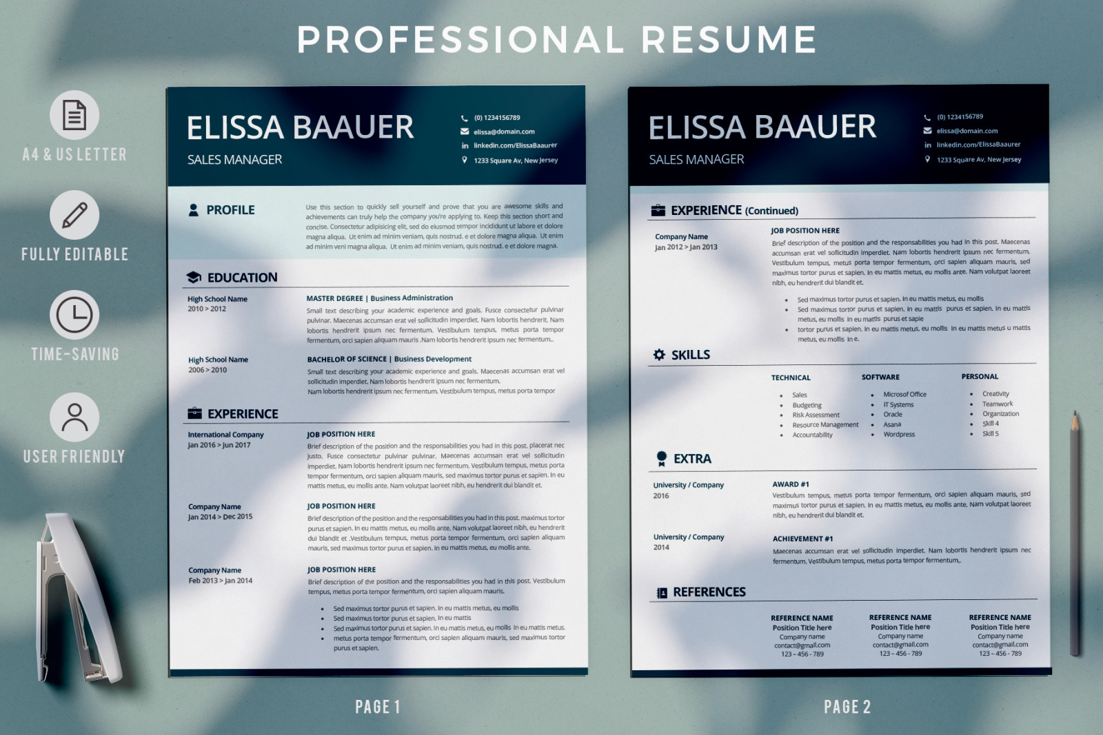 Modern Resume Template. Professional Biodata template for ...