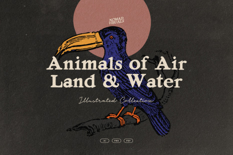 Animals of Air, Land &amp; Water Illustrations