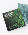 Two Square Brochures Mockup