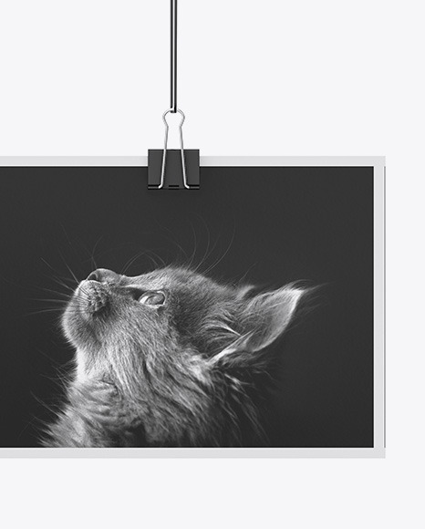 Paper Poster Mockup PSD #2