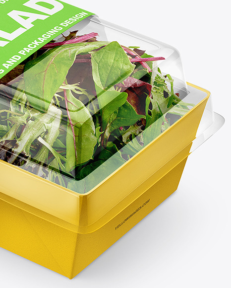 Salad Container Box Mockup Half Side View In Pot Tub Mockups On Yellow Images Object Mockups