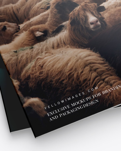 Two Magazines Mockup PSD #1