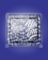Clear Transparent Plastic Container with Blueberries Mockup – Top View