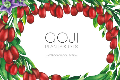 Watercolor goji collection